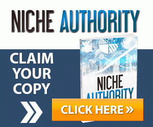 niche authority