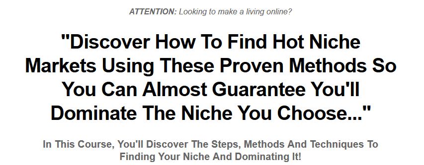 niche authority sp 2